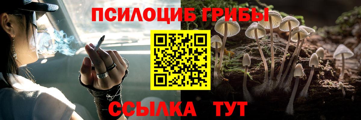 Галлюциногенные грибы MAGIC MUSHROOMS  Вход с VPN  Верхний Уфалей 